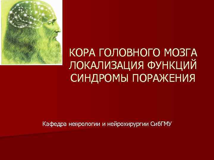 КОРА ГОЛОВНОГО МОЗГА ЛОКАЛИЗАЦИЯ ФУНКЦИЙ СИНДРОМЫ ПОРАЖЕНИЯ Кафедра неврологии и нейрохирургии Сиб. ГМУ 