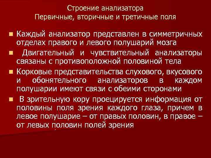Строение анализатора Первичные, вторичные и третичные поля Каждый анализатор представлен в симметричных отделах правого