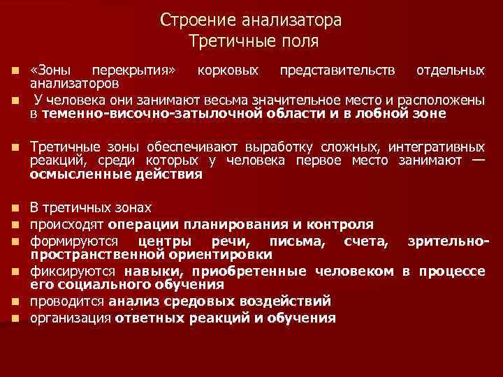 Строение анализатора Третичные поля «Зоны перекрытия» корковых представительств отдельных анализаторов n У человека они