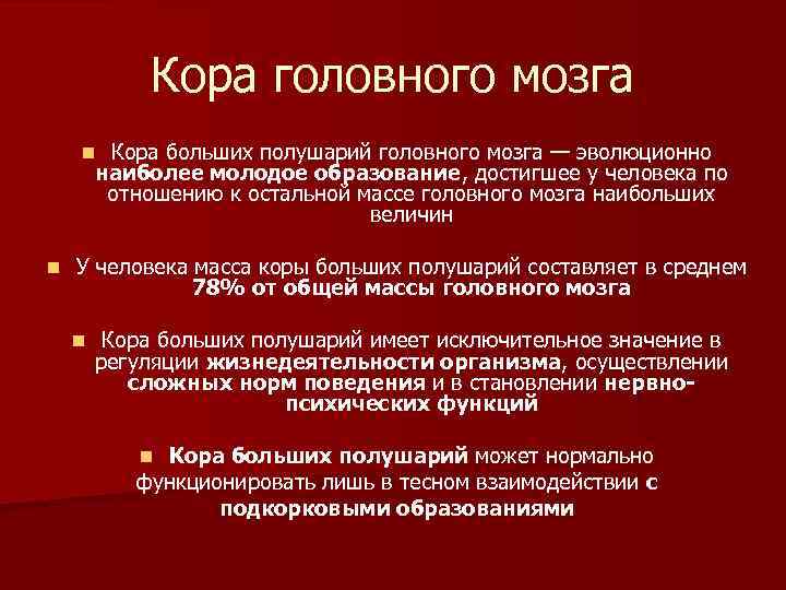 Кора головного мозга Кора больших полушарий головного мозга — эволюционно наиболее молодое образование, достигшее