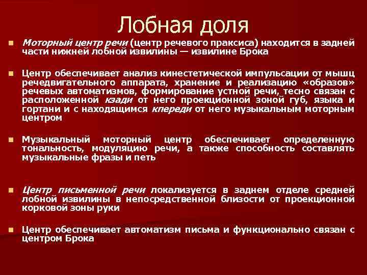 Лобная доля n Моторный центр речи (центр речевого праксиса) находится в задней n Центр