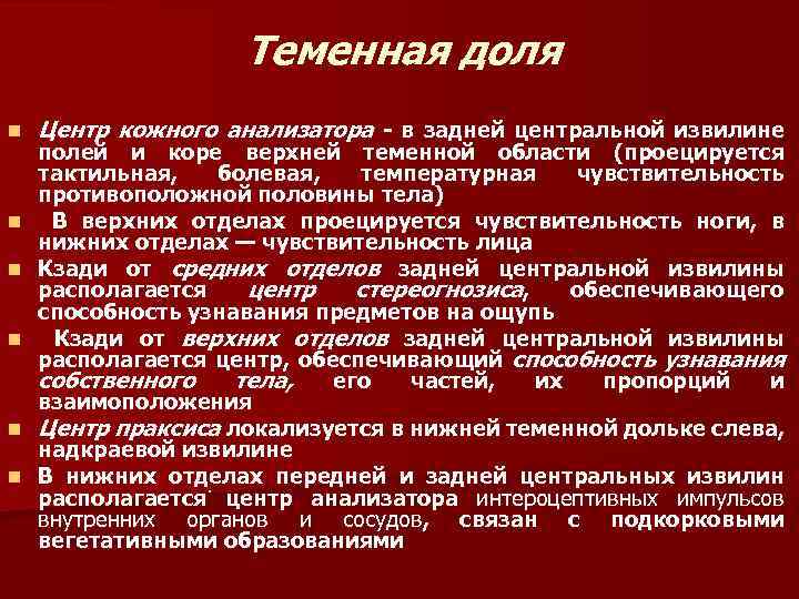 Теменная доля n n n Центр кожного анализатора - в задней центральной извилине полей