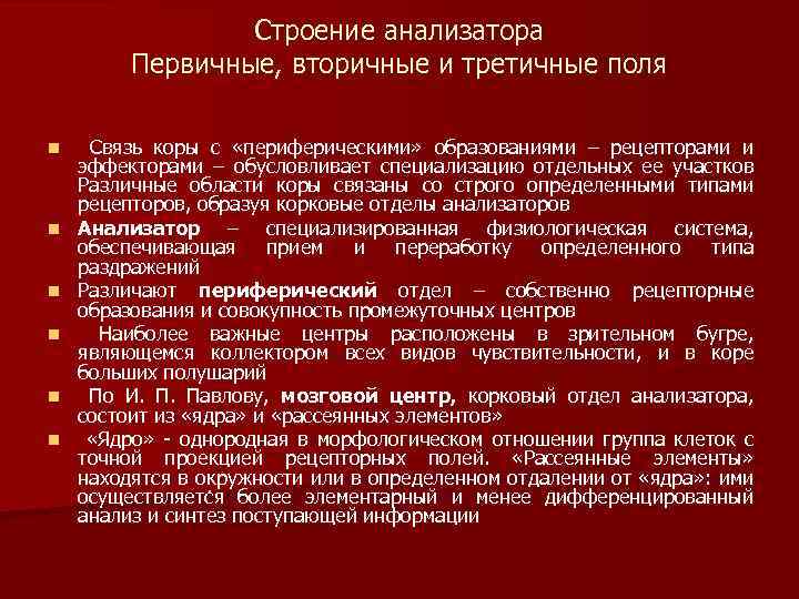 Строение анализатора Первичные, вторичные и третичные поля n n n Связь коры с «периферическими»