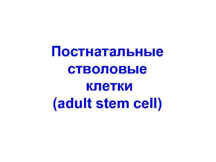 Постнатальные стволовые клетки (adult stem cell) 