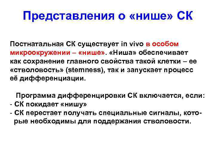 Представления о «нише» СК Постнатальная СК существует in vivo в особом микроокружении – «нише»