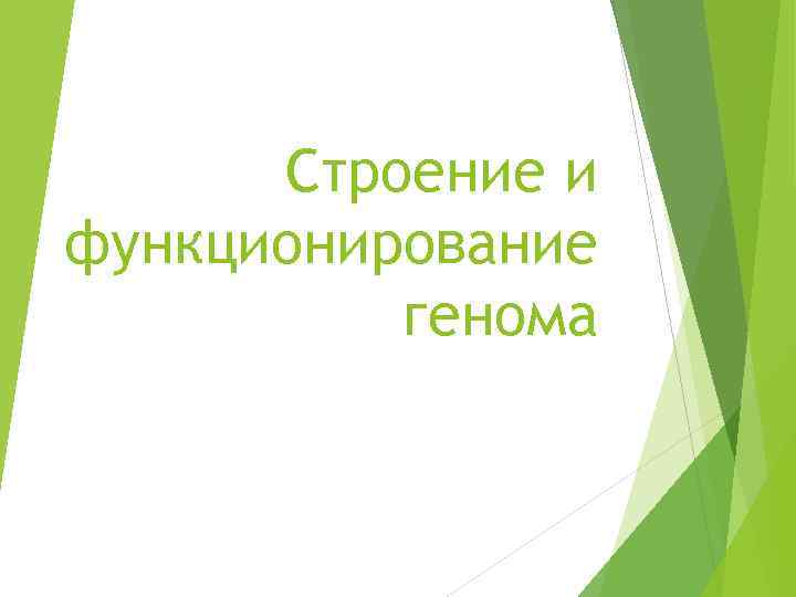 Строение и функционирование генома 