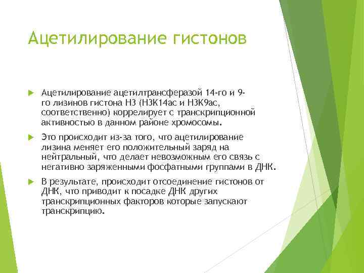 Ацетилирование гистонов Ацетилирование ацетилтрансферазой 14 -го и 9 го лизинов гистона H 3 (H