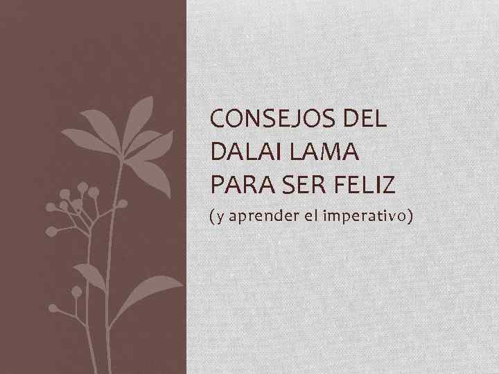 CONSEJOS DEL DALAI LAMA PARA SER FELIZ (y aprender el imperativo) 