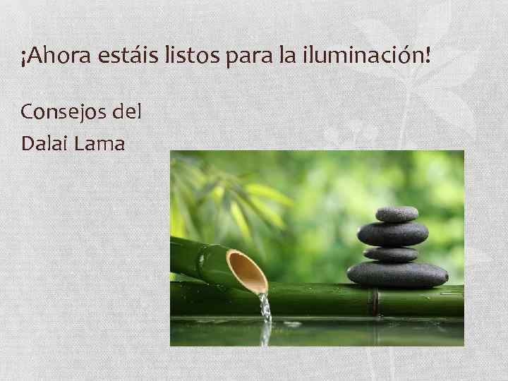 ¡Ahora estáis listos para la iluminación! Consejos del Dalai Lama 