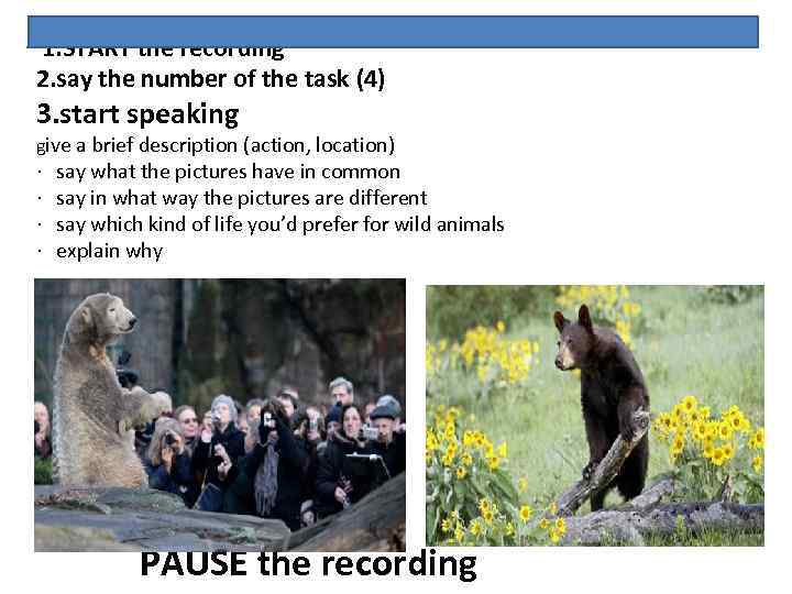  1. START the recording 2. say the number of the task (4) 3.