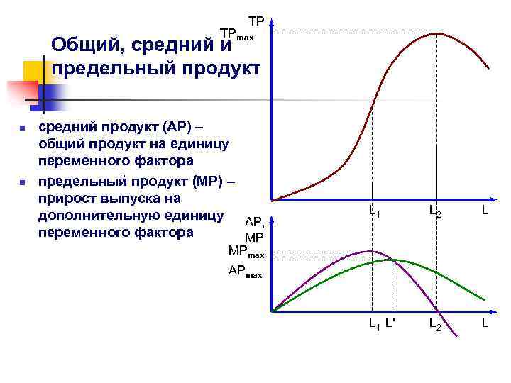 ТР ТРmax Общий, средний и предельный продукт n n средний продукт (АР) – общий