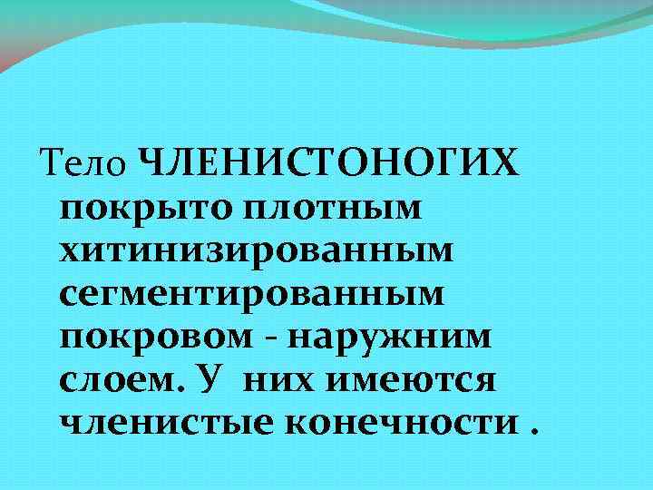 Покров тела членистоногих это