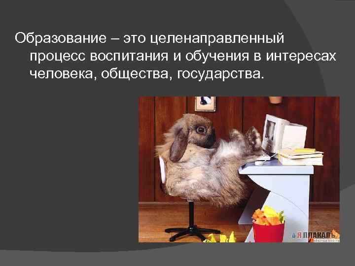 Образование – это целенаправленный процесс воспитания и обучения в интересах человека, общества, государства. 