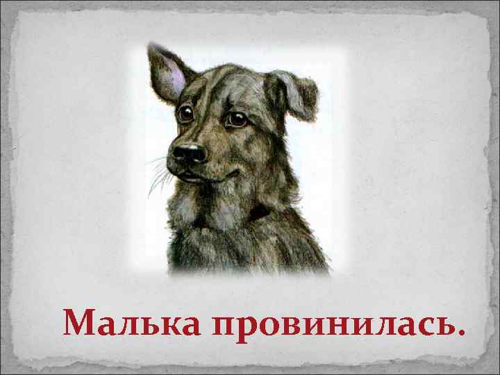 Малька провинилась. 