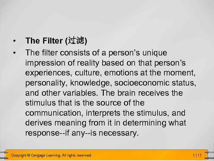  • • The Filter (过滤) The filter consists of a person’s unique impression