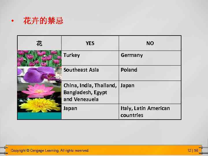  • 花卉的禁忌 YES 花 NO Turkey Germany Southeast Asia Poland China, India, Thailand,