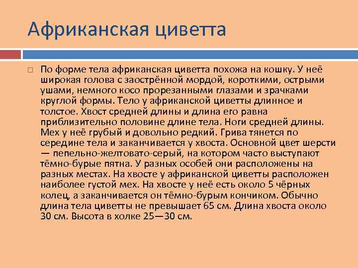 Африканская циветта По форме тела африканская циветта похожа на кошку. У неё широкая голова