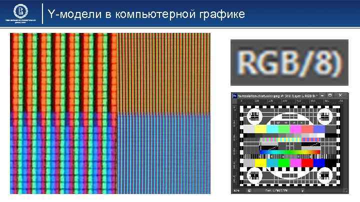 Y-модели в компьютерной графике 