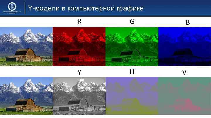 Y-модели в компьютерной графике 