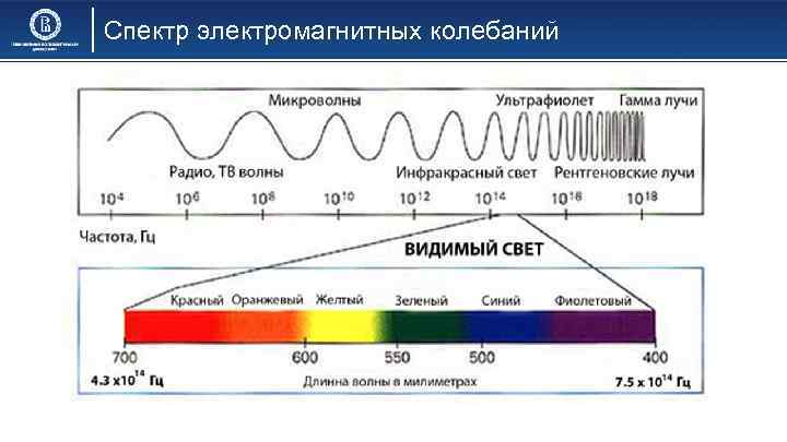 Схема спектра электромагнитных волн