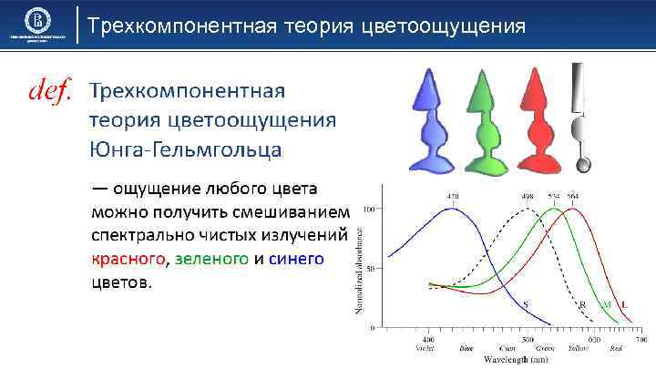 Трехкомпонентная теория цветоощущения 