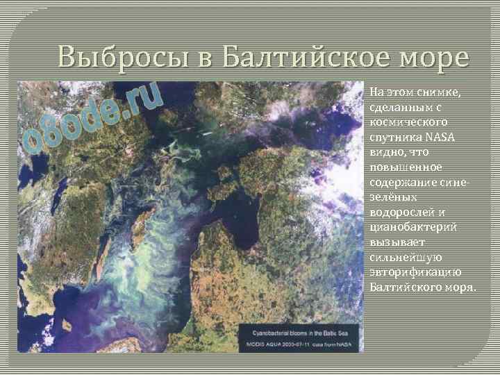 Выбросы в Балтийское море На этом снимке, сделанным с космического спутника NASA видно, что