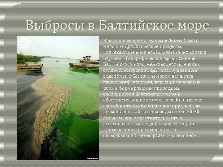 Балтийский морской бассейн специализация