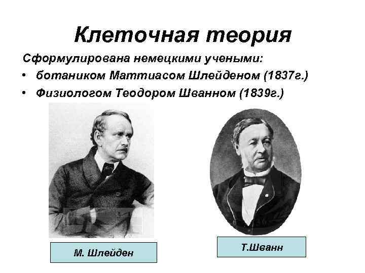 Клеточная теория Сформулирована немецкими учеными: • ботаником Маттиасом Шлейденом (1837 г. ) • Физиологом
