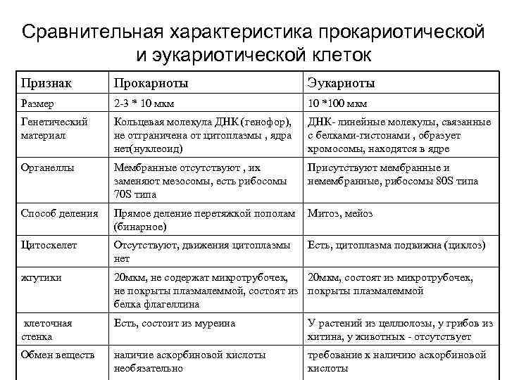 Сравнительная характеристика прокариотической и эукариотической клеток Признак Прокариоты Эукариоты Размер 2 -3 * 10