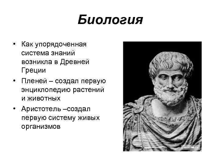 Экономика как наука зародилась в античные времена. Аристотель биолог. Биология в древней Греции. Биология в античности Аристотель. Развитие биологии в античный период.