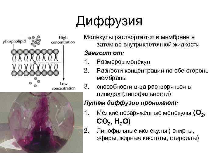 Мембрана жидкость