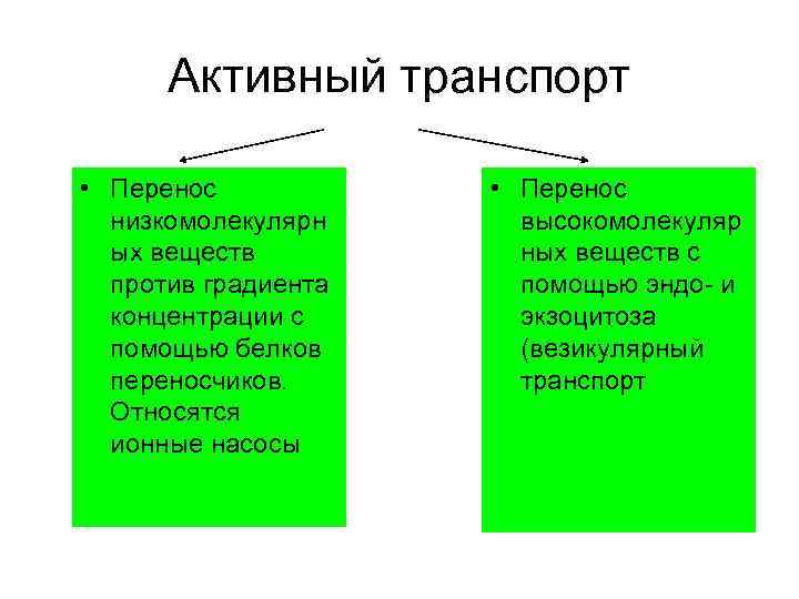 Активный транспорт • Перенос низкомолекулярн ых веществ против градиента концентрации с помощью белков переносчиков.