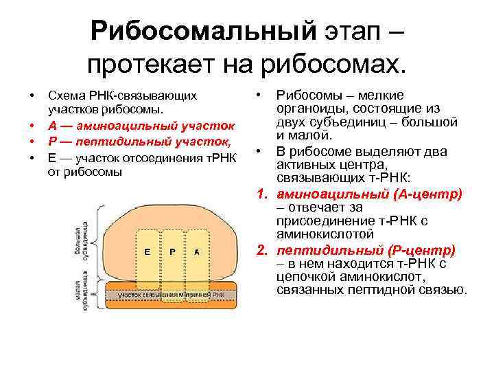 Реле рнк 1у3 схема