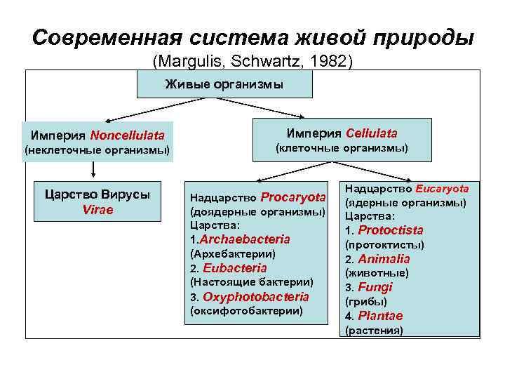 Современная система живой природы (Margulis, Schwartz, 1982) Живые организмы Империя Noncellulata (неклеточные организмы) Царство
