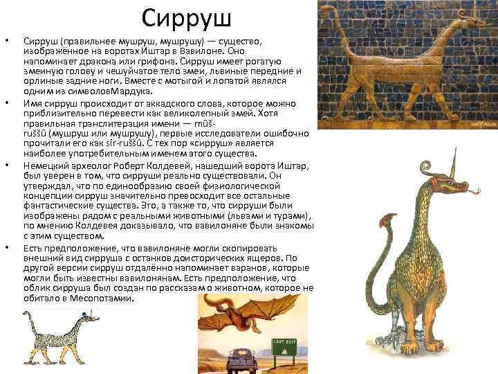 Сирруш • • Сирруш (правильнее мушруш, мушрушу) — существо, изображённое на воротах Иштар в