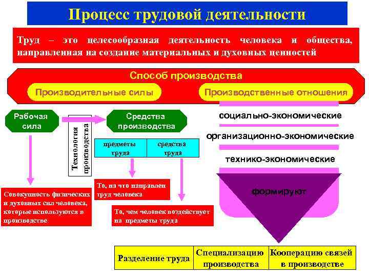 Целесообразная и полезная деятельность человека