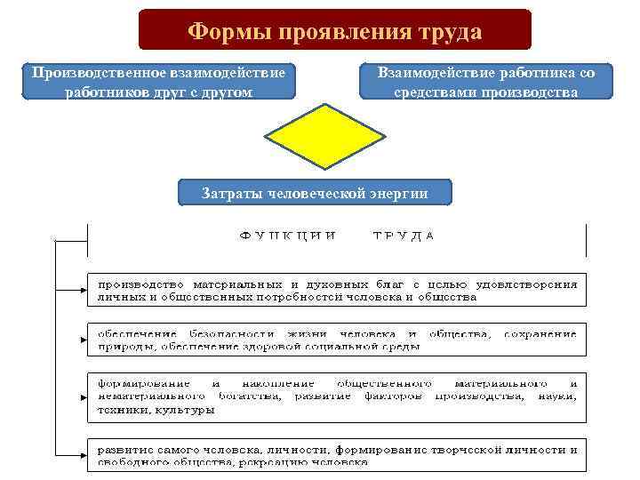 Формы проявления труда Производственное взаимодействие работников друг с другом Взаимодействие работника со средствами производства