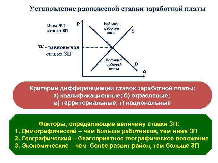 Установление равновесной ставки заработной платы Цена ФП – ставка ЗП Р Избыток рабочей силы