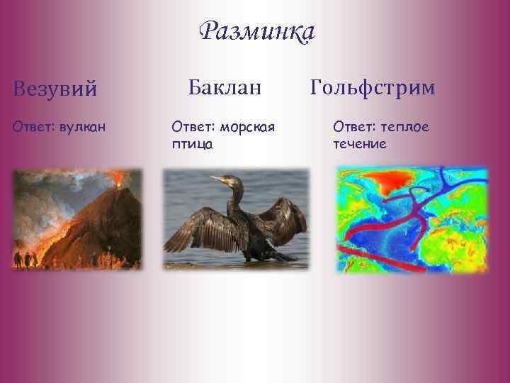 Разминка Везувий Баклан Ответ: вулкан Ответ: морская птица Гольфстрим Ответ: теплое течение 