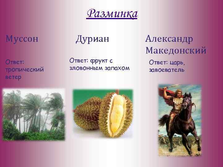 Разминка Муссон Ответ: тропический ветер Дуриан Ответ: фрукт с зловонным запахом Александр Македонский Ответ: