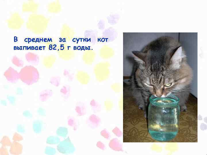 В среднем за сутки кот выпивает 82, 5 г воды. 
