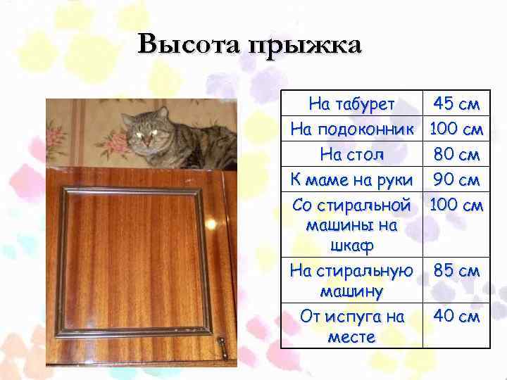 Высота прыжка На табурет 45 см На подоконник 100 см На стол 80 см