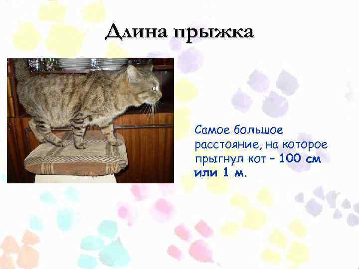 Длина прыжка Самое большое расстояние, на которое прыгнул кот – 100 см или 1