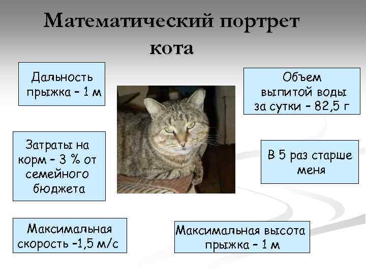 Математический портрет кота Дальность прыжка – 1 м Затраты на корм – 3 %
