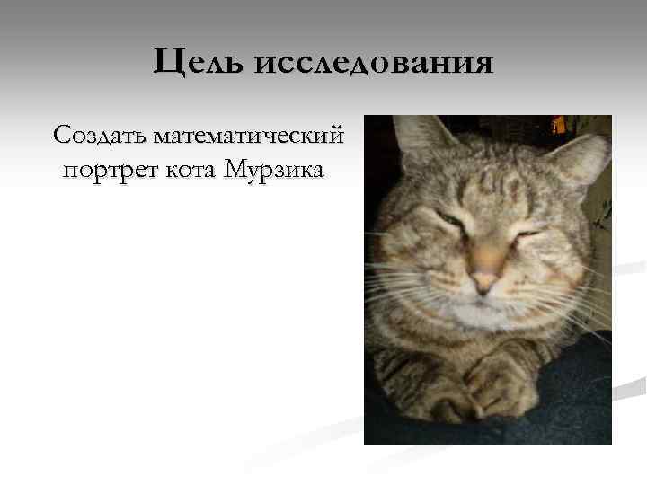 Цель исследования Создать математический портрет кота Мурзика 