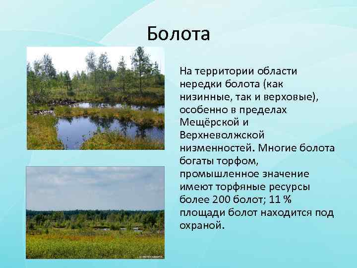 Болота На территории области нередки болота (как низинные, так и верховые), особенно в пределах