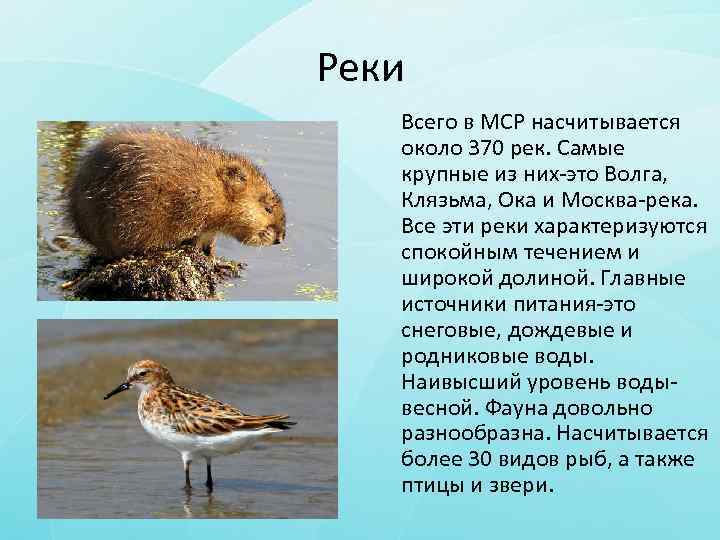 Реки Всего в МСР насчитывается около 370 рек. Самые крупные из них-это Волга, Клязьма,