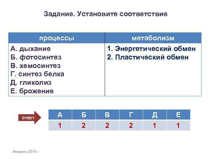 Установите соответствие между этапами энергетического обмена. Брожение гликолиз дыхание Синтез белка фотосинтез хемосинтез. Задания ЕГЭ по биологии по теме энергетический обмен. Задачи на энергетический обмен ЕГЭ. Установите соответствие фотосинтез энергетический обмен.