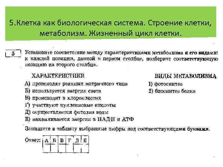 5. Клетка как биологическая система. Строение клетки, метаболизм. Жизненный цикл клетки. Установление соответствия (с