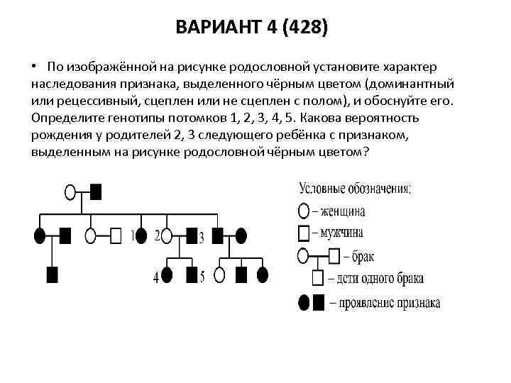 Изучите графическое изображение родословной семьи по одному изучаемому признаку ответы на вопросы